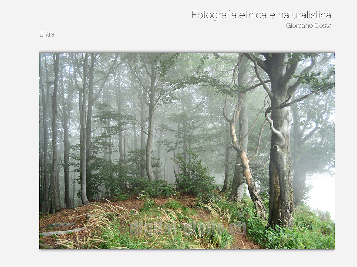 Newsletter Interna