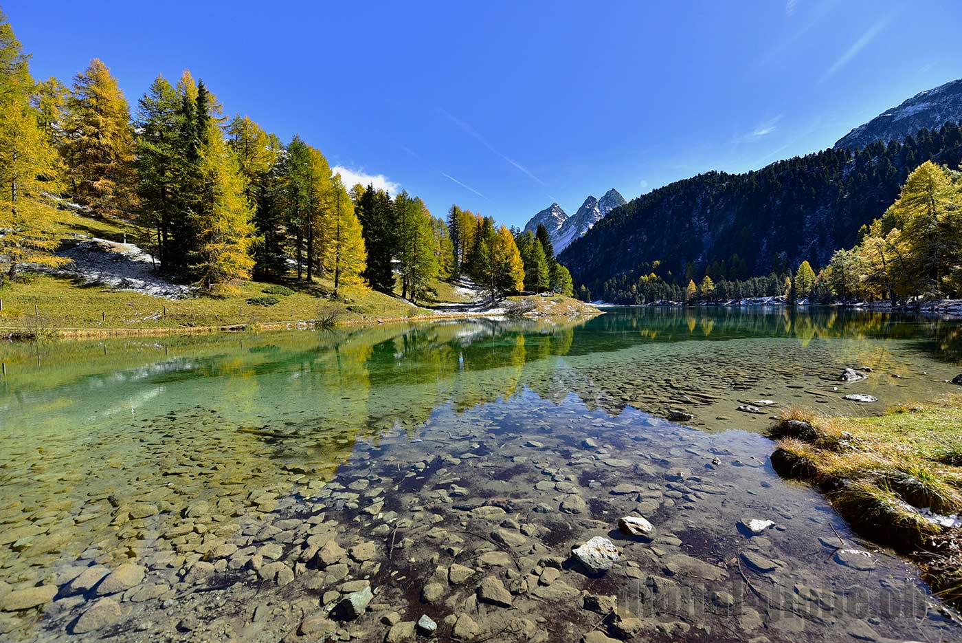 Albula, Grigioni, Svizzera, fotografia, natura