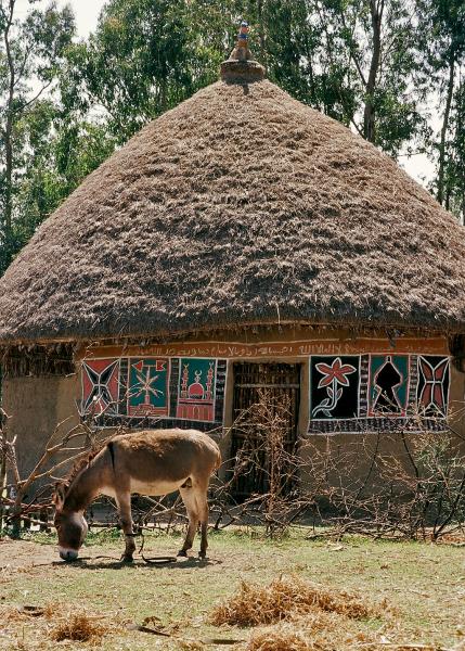 Ziway, lago, Etiopia centrale, fotografia entica