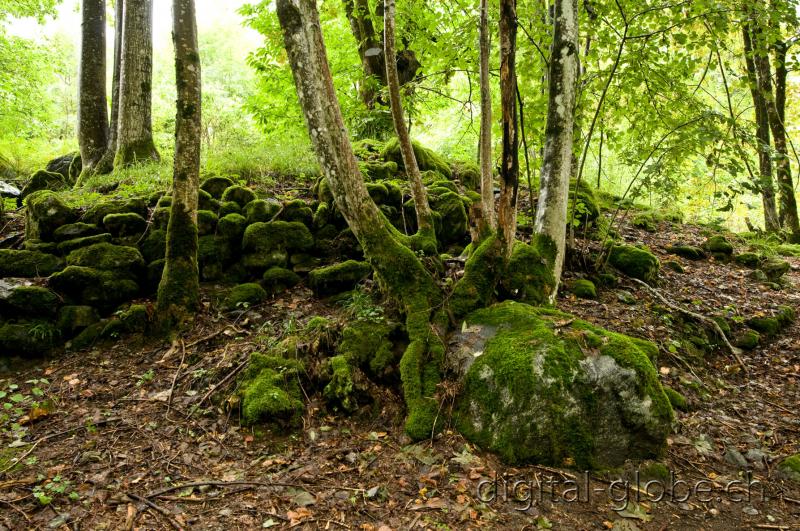 Bavona, Ticino, fotografia
