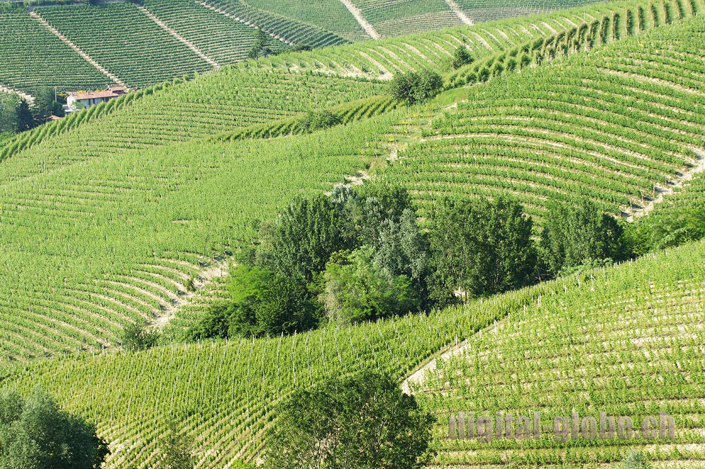 Langhe, Piemonte