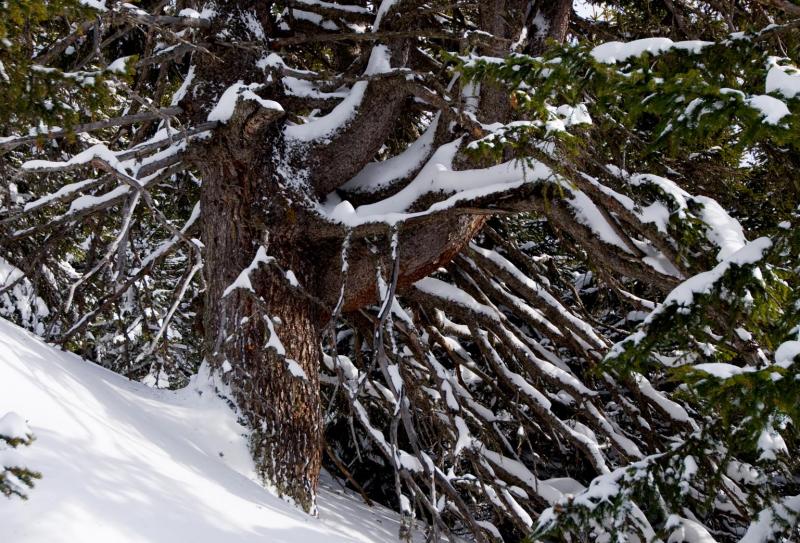 Winter Landscape Ticino Switzerland Snow