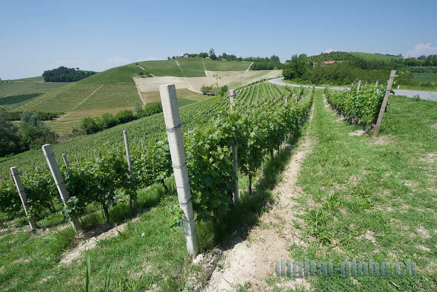 Langhe, Piemonte