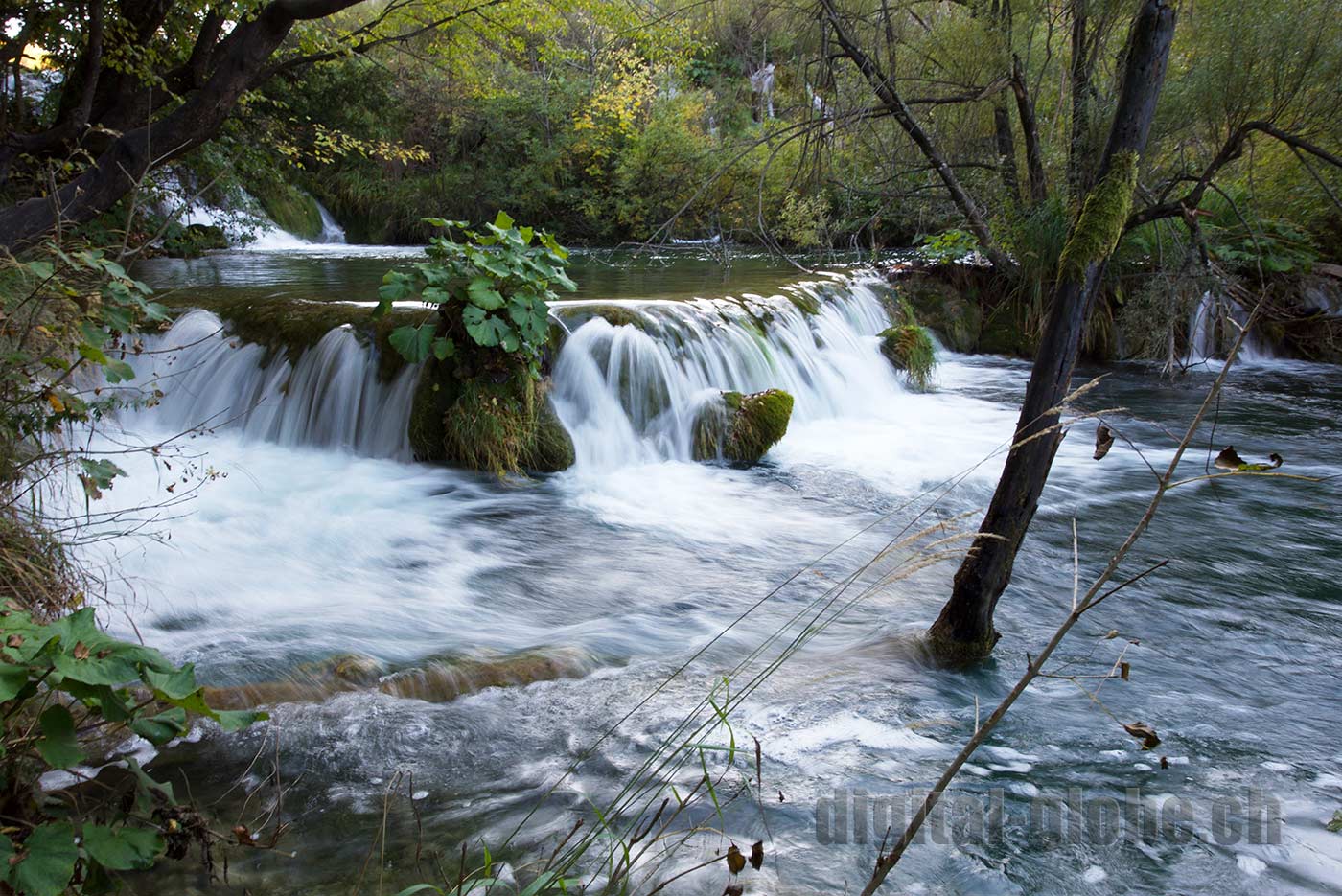 Plitvicka Jezera, Croazia, fotografia, natura, lago, bosco, foresta