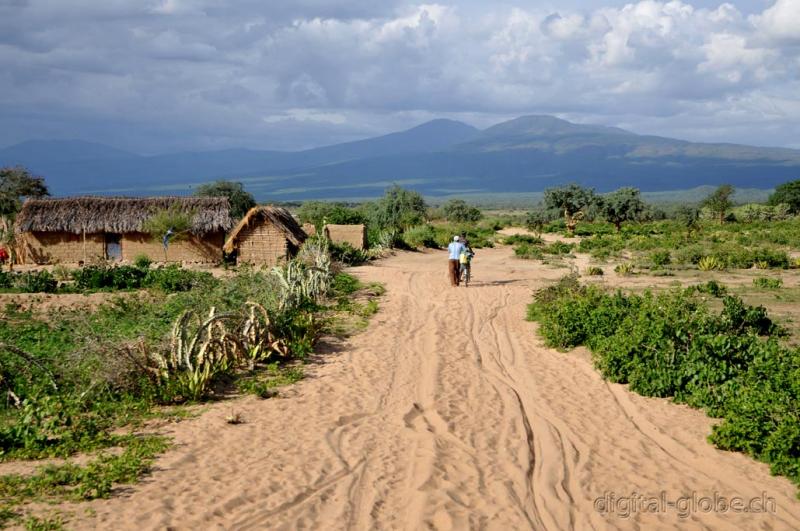 Lago, Eyasi, Tanzania, fotografia, natura, fauna