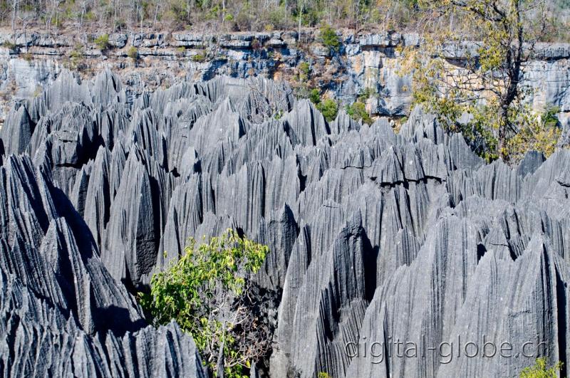 Piccoli Tsingy, Bemaraha, Madagascar, fotografia