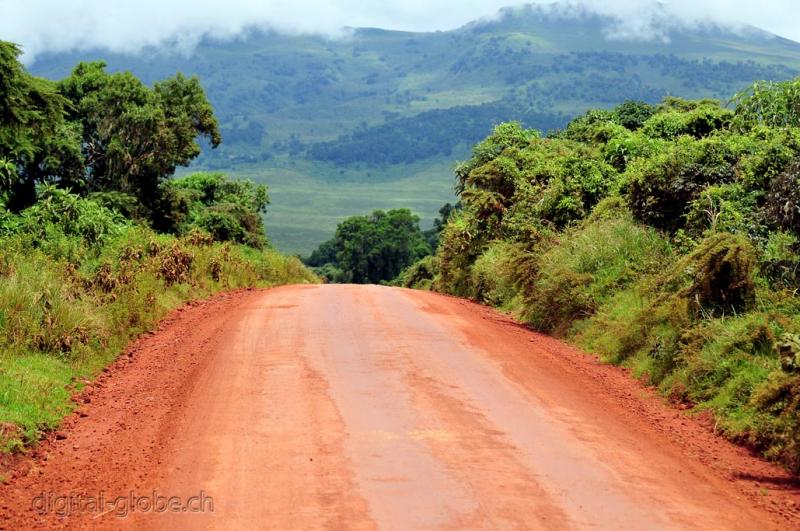 Ngorongoro, Tanzania, Africa, fotografia, natura, fauna