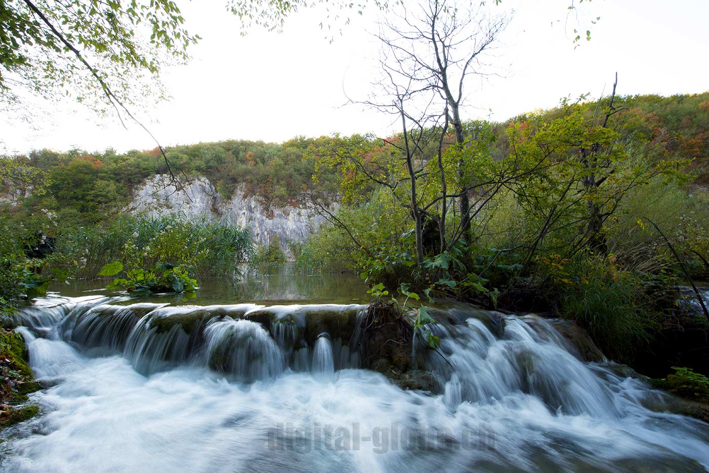 Plitvicka Jezera, Croazia, fotografia, natura, lago, bosco, foresta