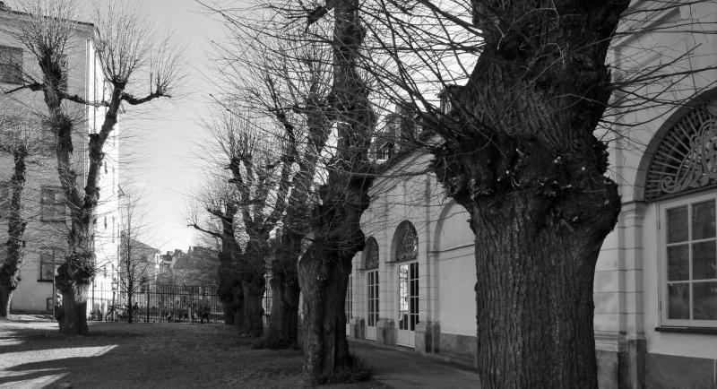 Stoccolma, fotografia, bianco, nero