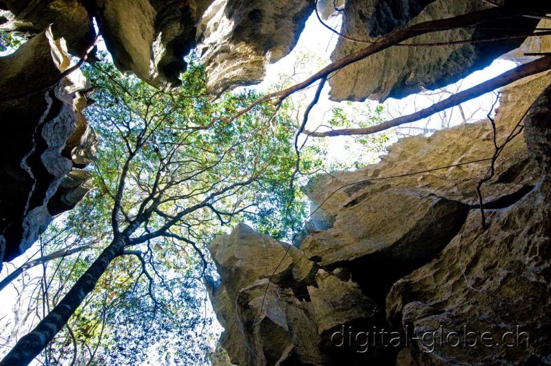 Cattedrale, torre, Tsingy, Bemaraha, Madagascar, fotografia