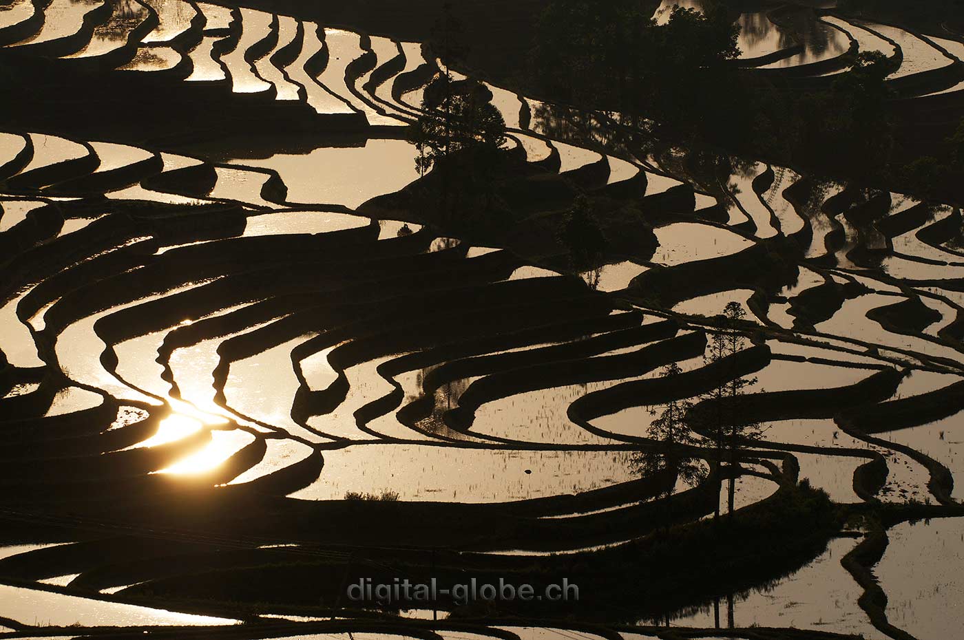 Yuanyang, Yunnan, risaie, fotografia