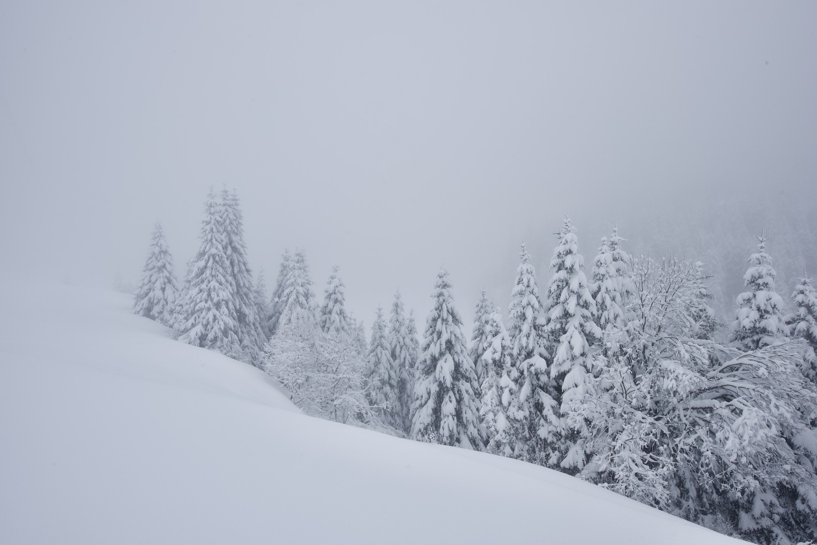 San Bernardino, fotografia, inverno, neve, natura