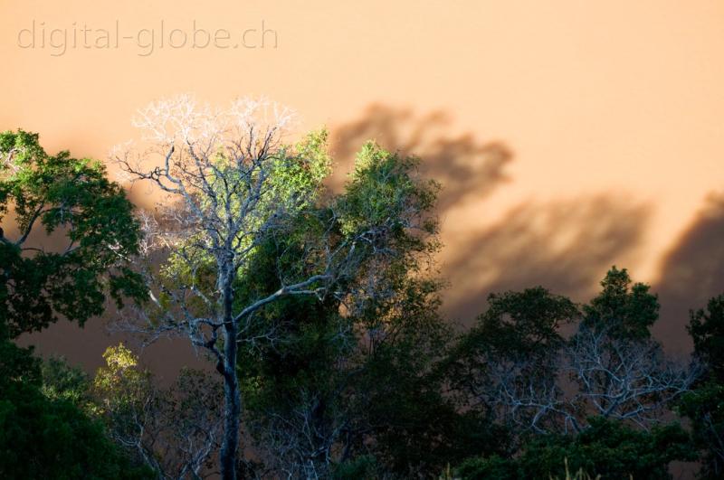 Fiume, luci, ombre, Bemaraha, Bekopako, Madagascar, fotografia