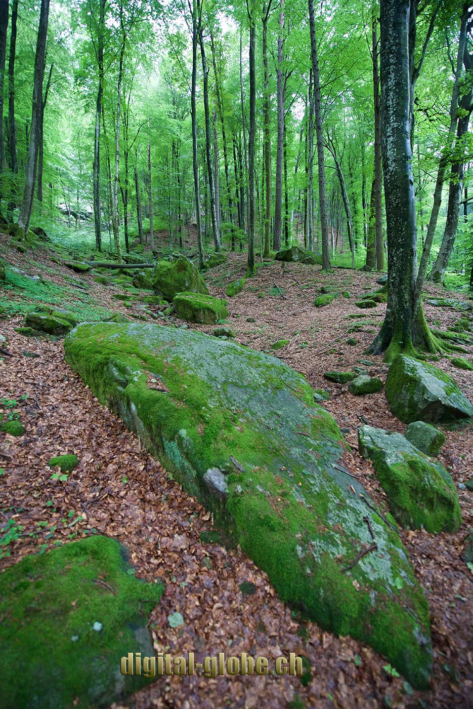 Ticino, fotografia, Verzasca, natura