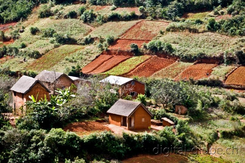 Analamazoatra, Madagascar, fotografia, altopiano