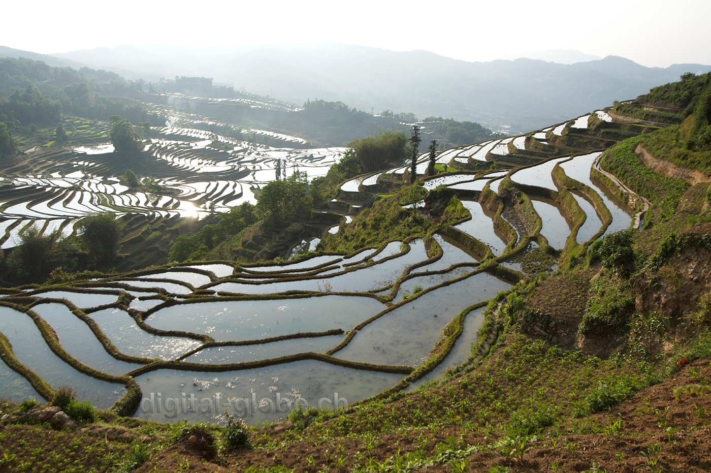 Yuanyang, Yunnan, risaie, fotografia