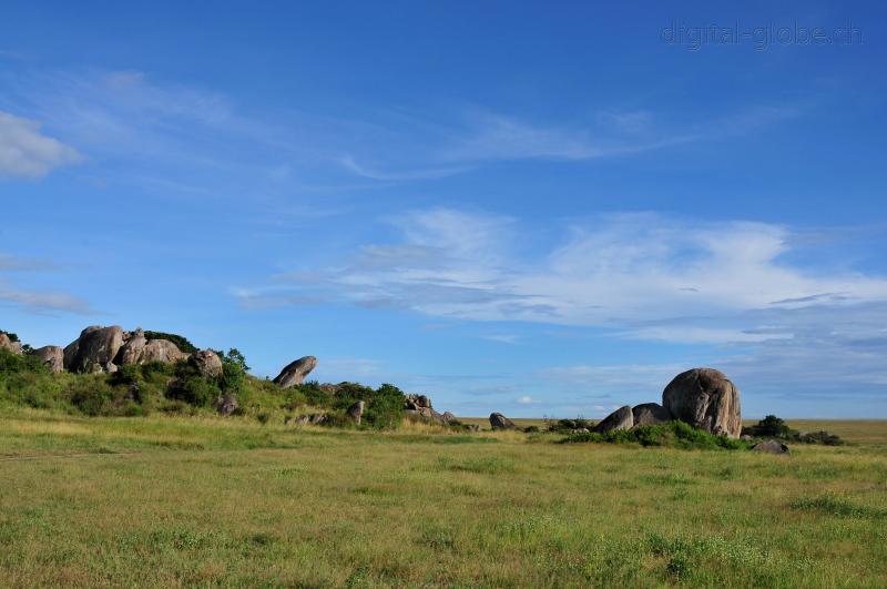 Serengeti