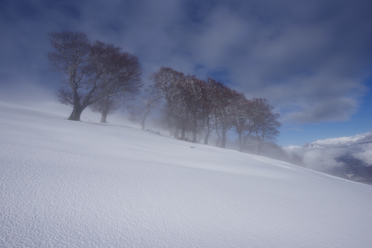 ticino, fotografia, natura