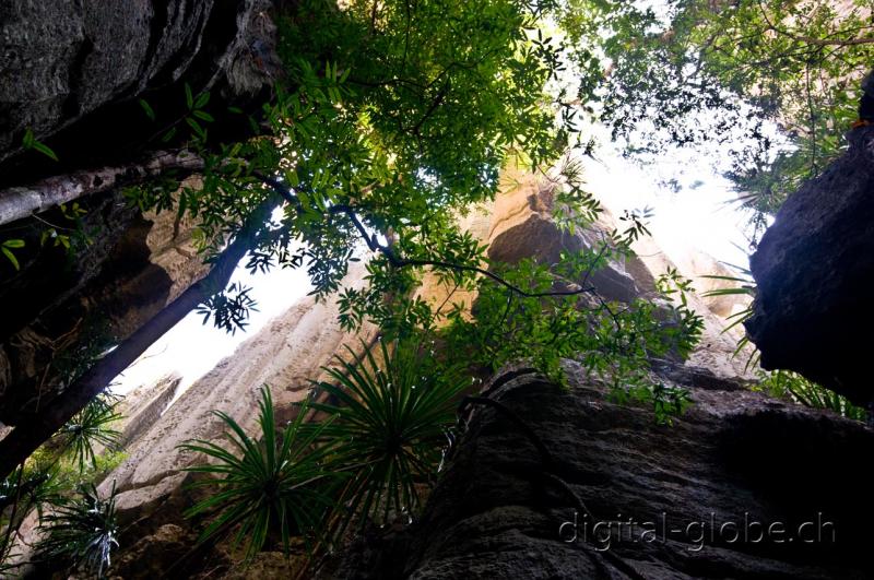Gola, caverna, cattedrale, pietra, Tsingy, Madagascar, fotografia