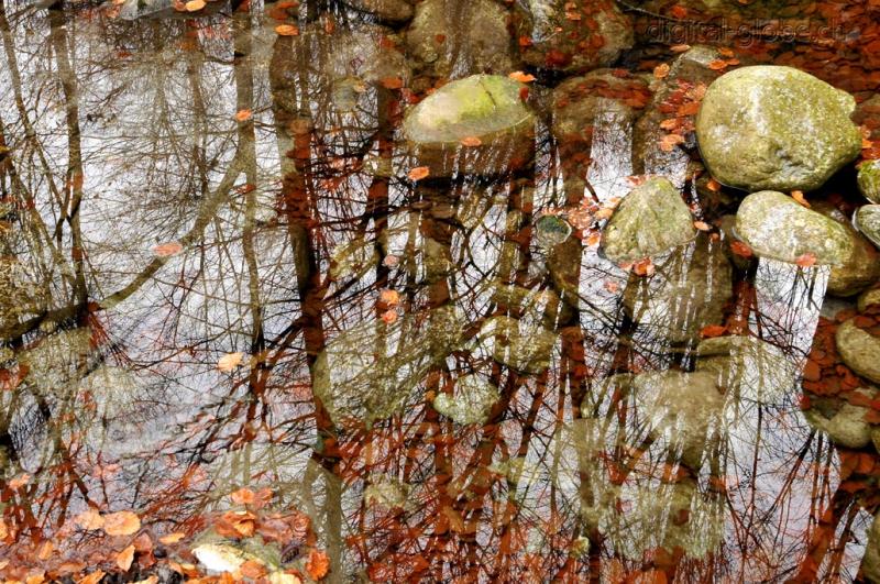 Riflessi, acqua, Ticino, Verzasca,  foresta, fotografia