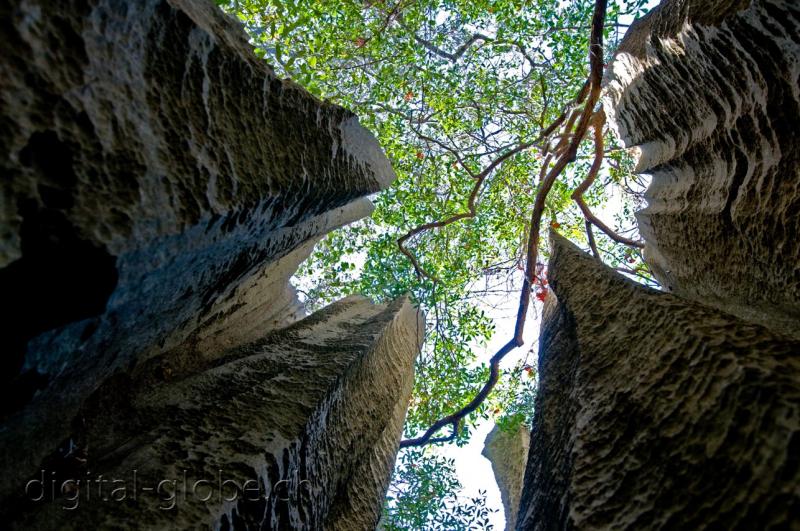 Torri, cattedrale, Tsingy, Bemaraha, Madagascar, fotografia