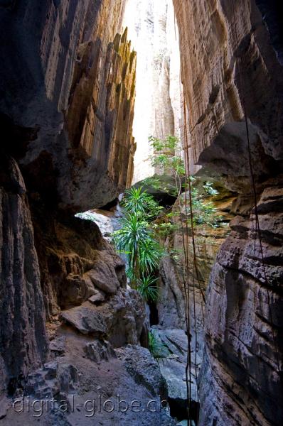 Gola, Tsingy, Bemaraha, Madagascar, fotografia