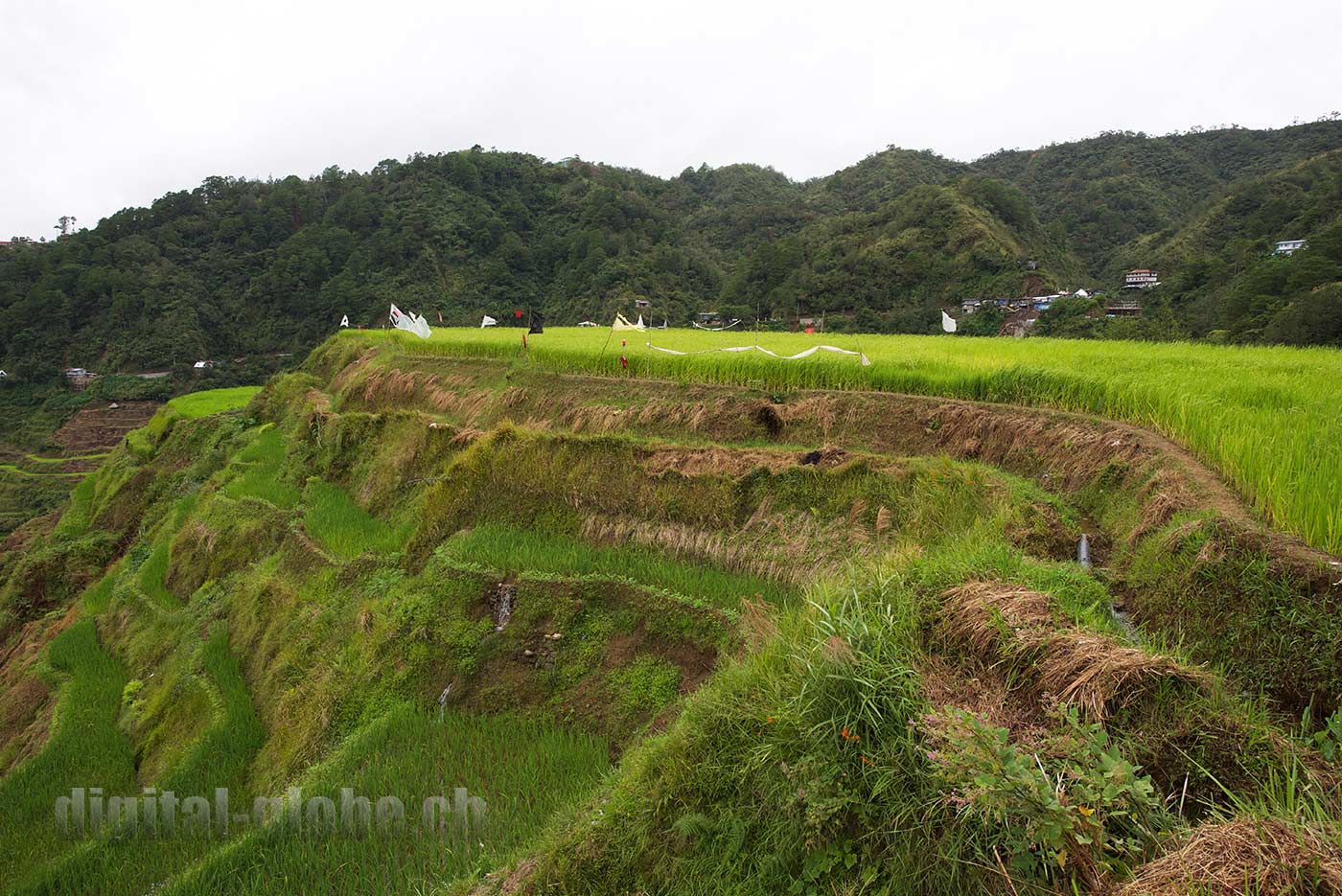 Ifugao Province, Filippine, Rice Terraces, Bangaan, Batad, Banaue