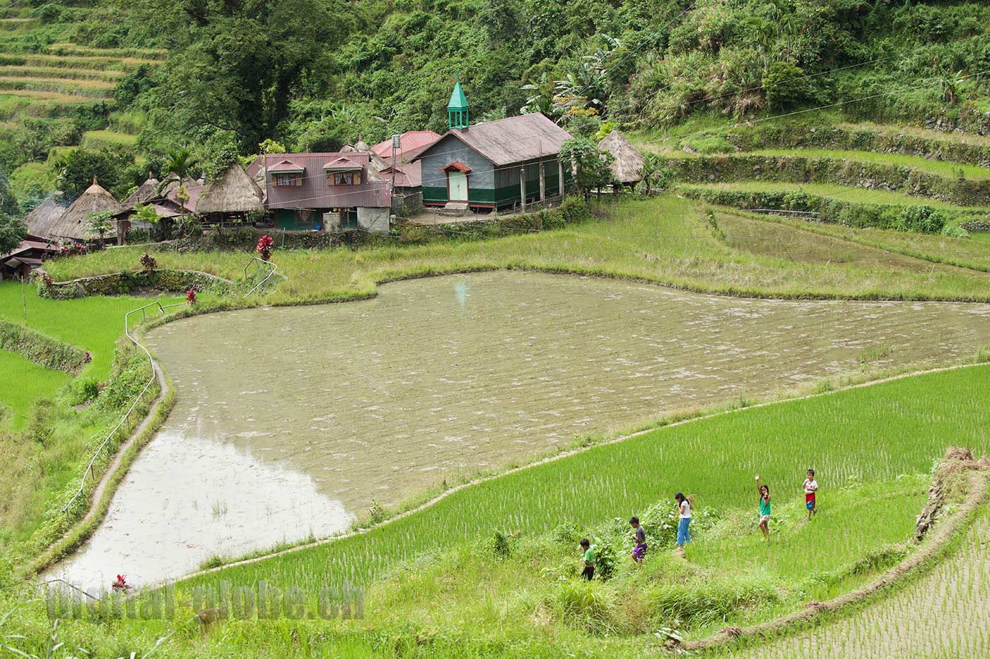 Ifugao Province, Filippine, Rice Terraces, Bangaan, Batad, Banaue