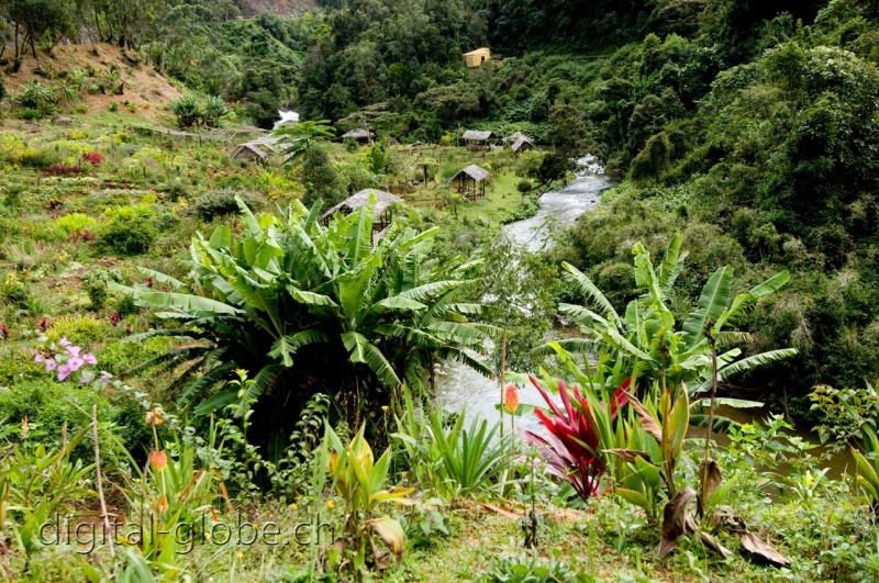 Analamazoatra, Madagascar, fotografia