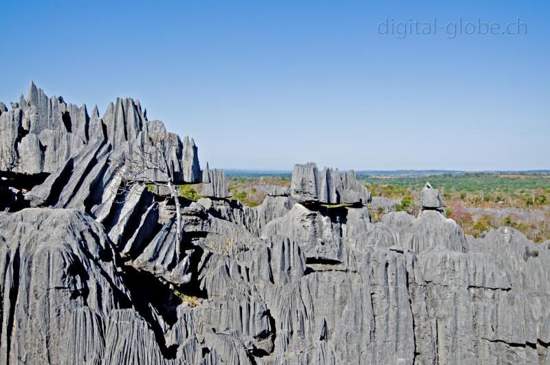 Tsingy, punte, Bemaraha, Madagascar, fotografia