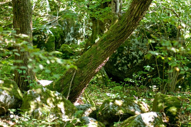 Bavona, Ticino, fotografia