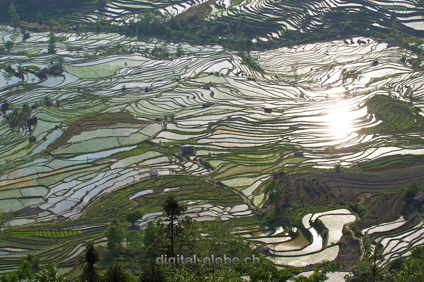 Yuanyang, Yunnan, risaie, fotografia