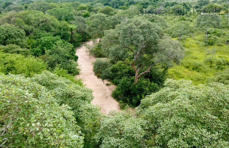 Pantanal, fotografia, natura