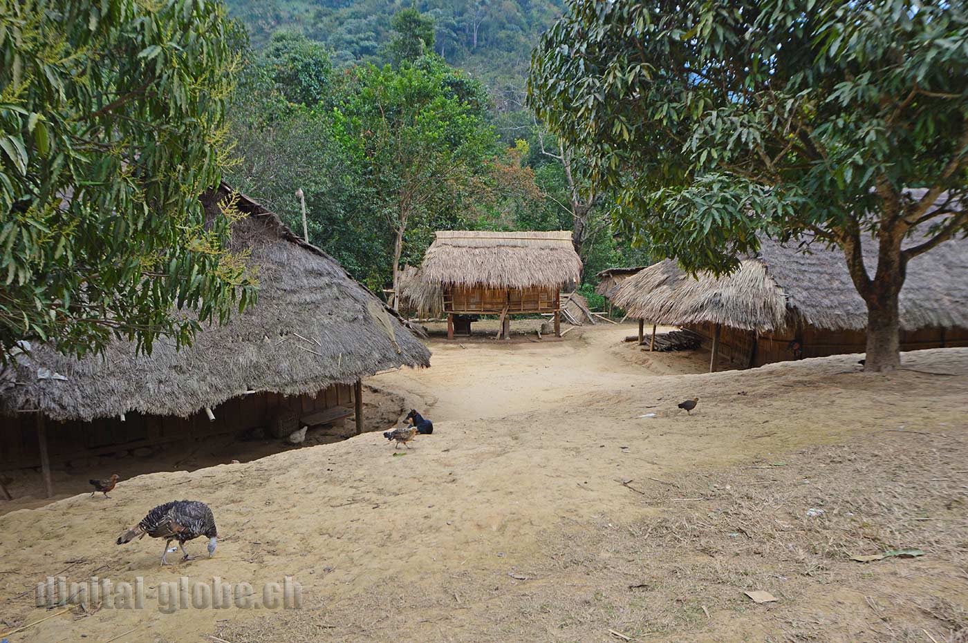 Laos, Indocina, fotografia, Luang Prabang, Vientiane, Vang Vieng