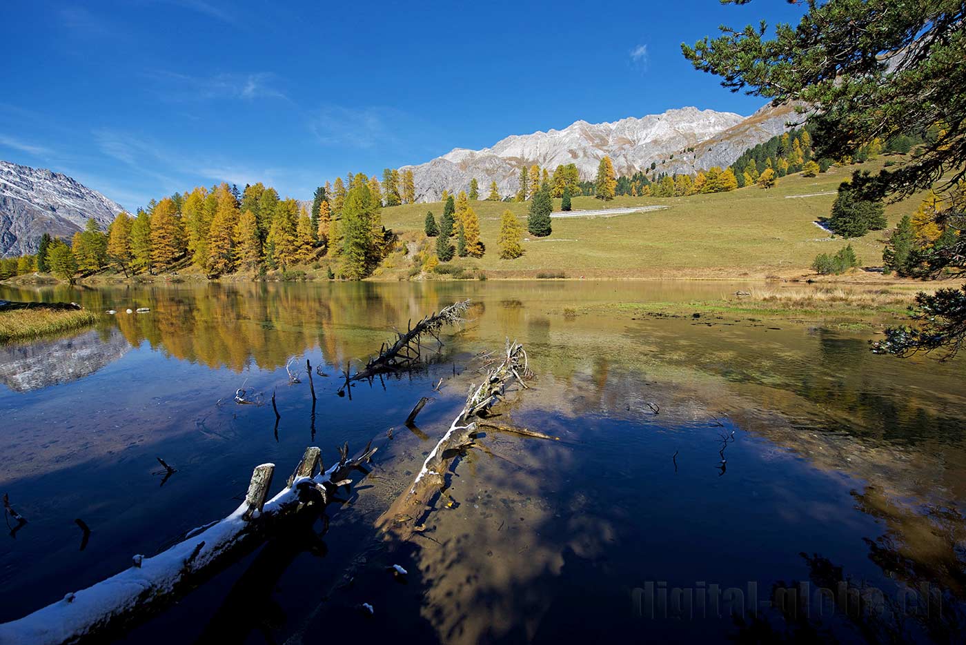 Albula, Grigioni, Svizzera, fotografia, natura