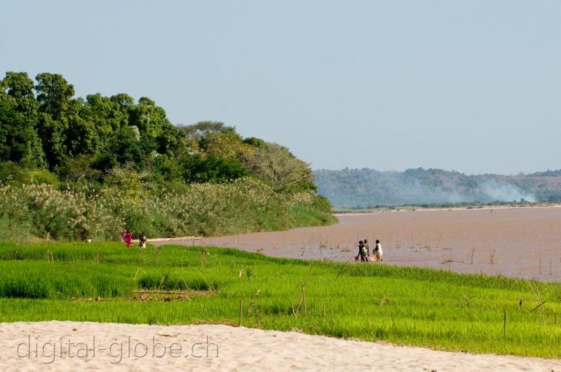 Risaia, fiume, Madagascar, fotografia