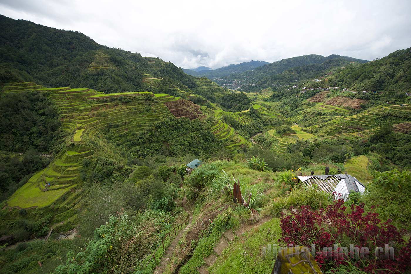 Ifugao Province, Filippine, Rice Terraces, Bangaan, Batad, Banaue