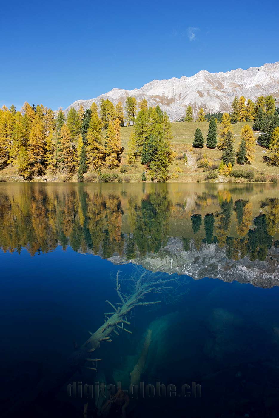 Albula, Grigioni, Svizzera, fotografia, natura