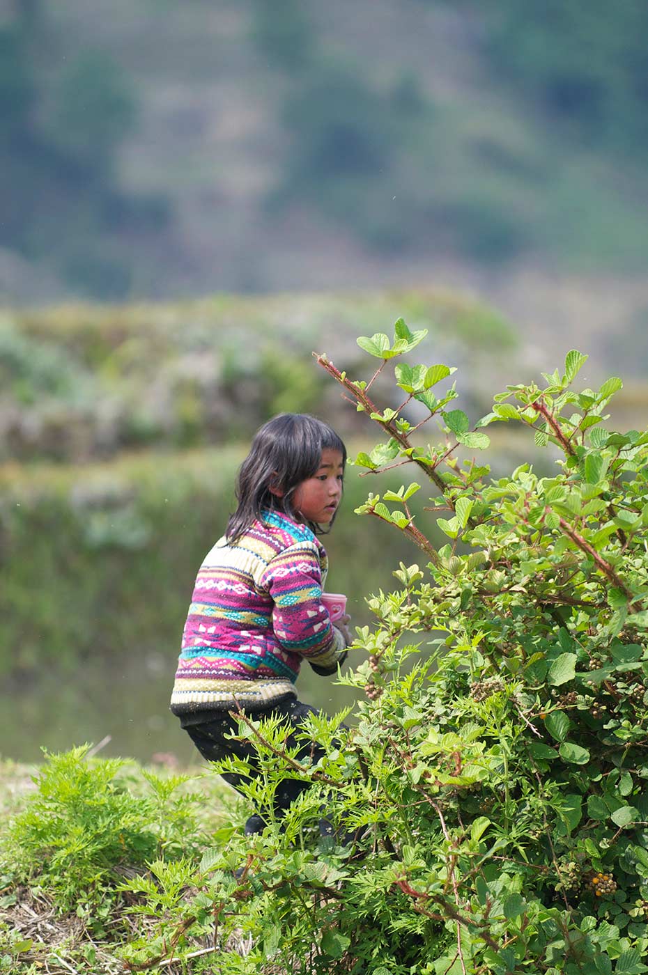 Yuanyang, Yunnan, risaie, fotografia