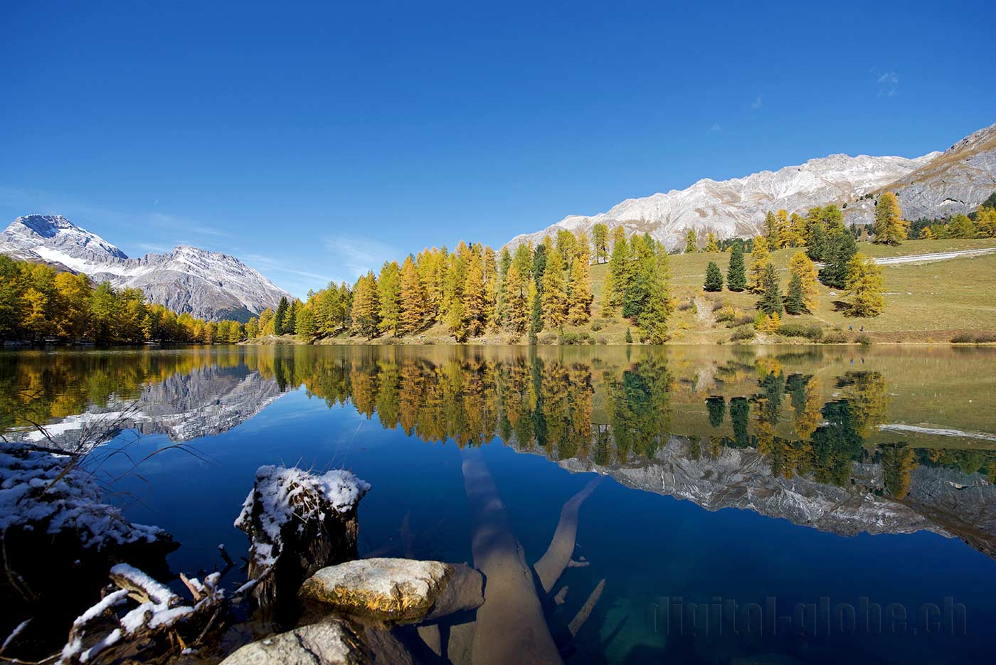 Albula, Grigioni, Svizzera, fotografia, natura