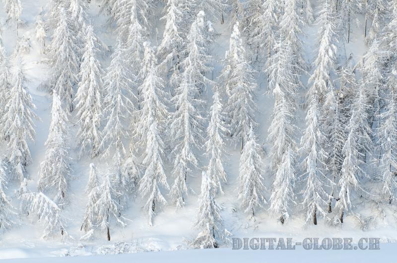 Poschiavo, fotografia