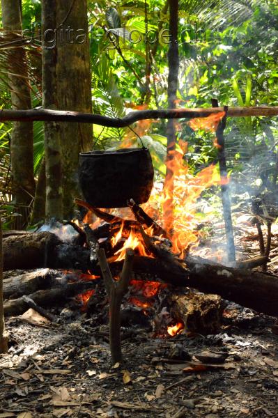 Brasile Amazzonia, fotografia, natura