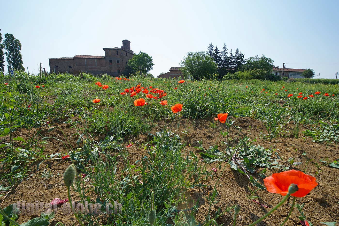 Langhe, Piemonte