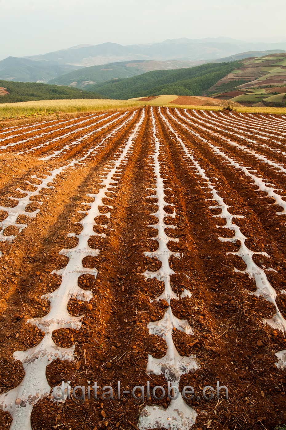 Red lands, Yunan, Luoxiagou Valley, Cina, fotografia