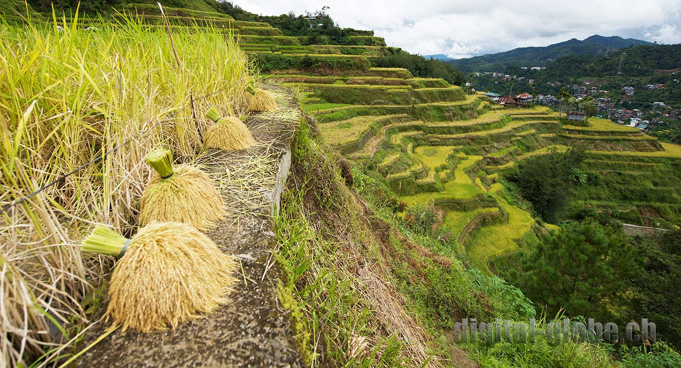 Ifugao Province, Filippine, Rice Terraces, Bangaan, Batad, Banaue