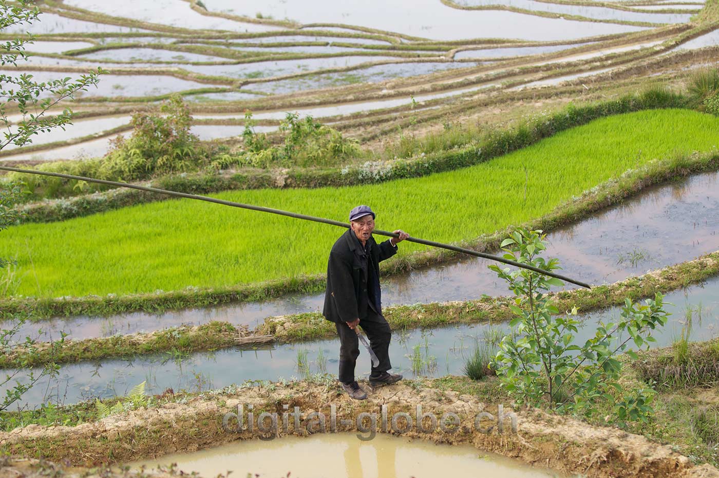 Yuanyang, Yunnan, risaie, fotografia