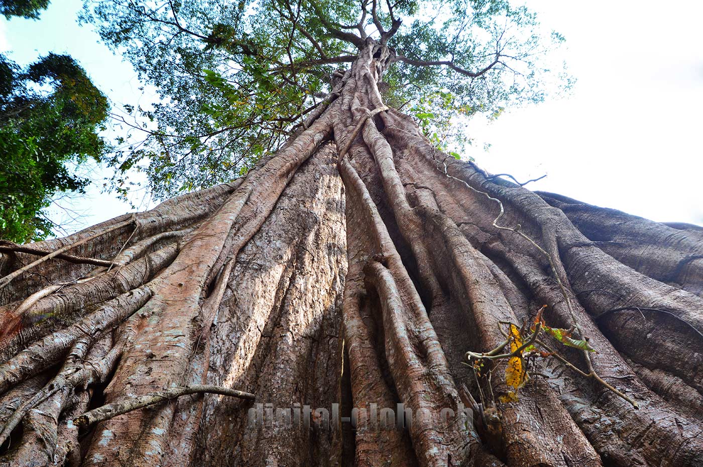 Laos, Indocina, fotografia, Luang Prabang, Vientiane, Vang Vieng