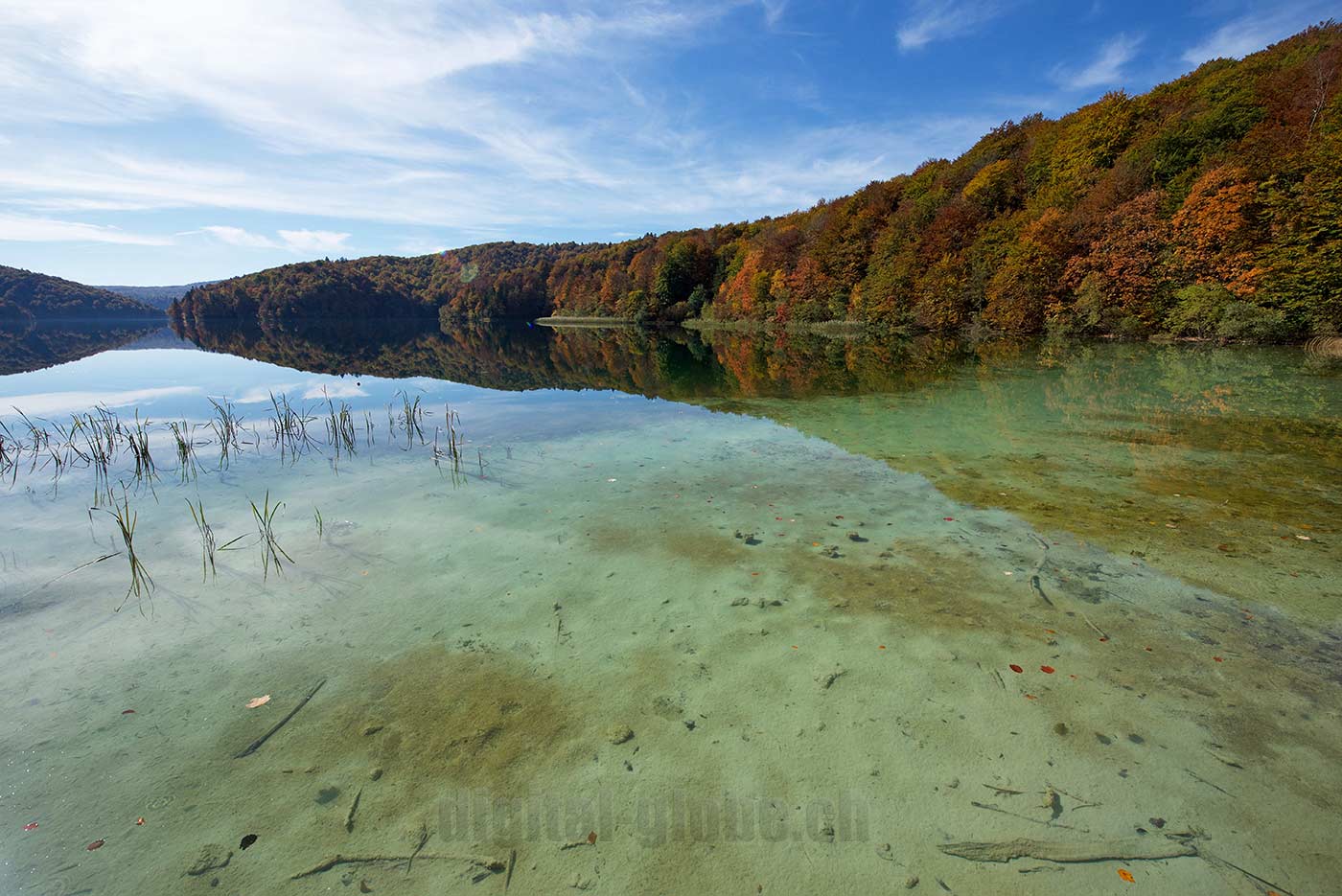 Plitvicka Jezera, Croazia, fotografia, natura, lago, bosco, foresta