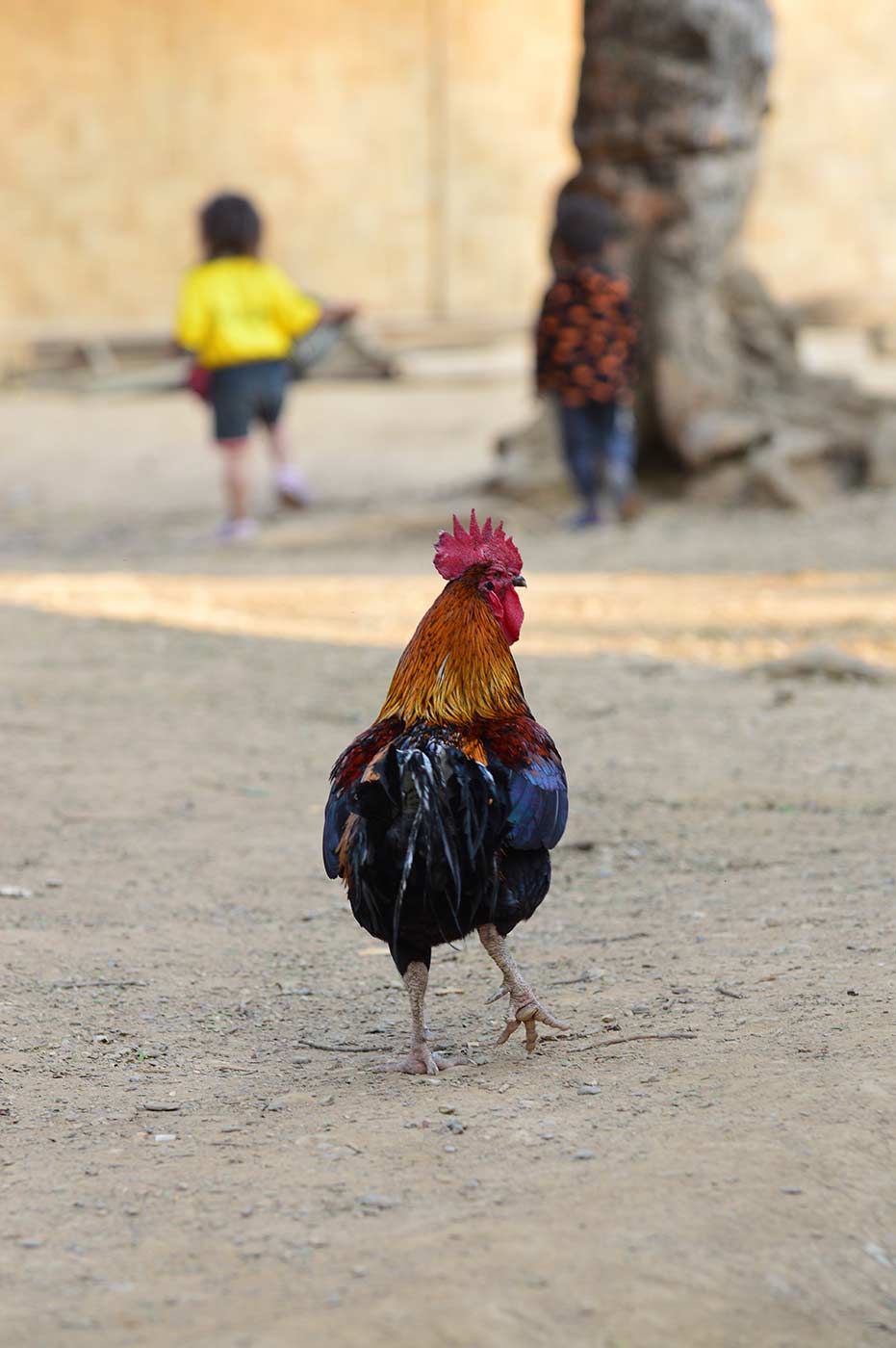 Laos, Indocina, fotografia, Luang Prabang, Vientiane, Vang Vieng