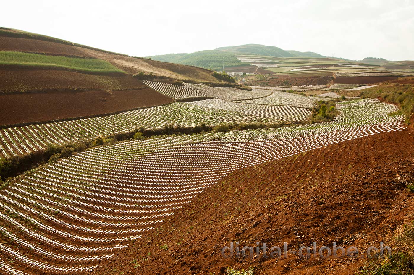 Red lands, Yunan, Luoxiagou Valley, Cina, fotografia